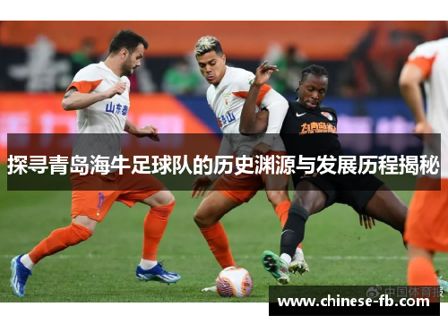 探寻青岛海牛足球队的历史渊源与发展历程揭秘 探寻青岛海牛足球队的历史渊源与发展历程揭秘