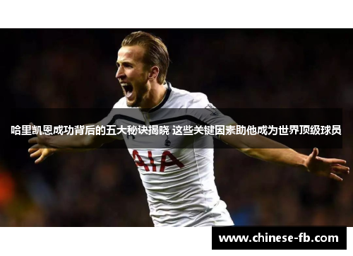 哈里凯恩成功背后的五大秘诀揭晓 这些关键因素助他成为世界顶级球员 哈里凯恩成功背后的五大秘诀揭晓 这些关键因素助他成为世界顶级球员