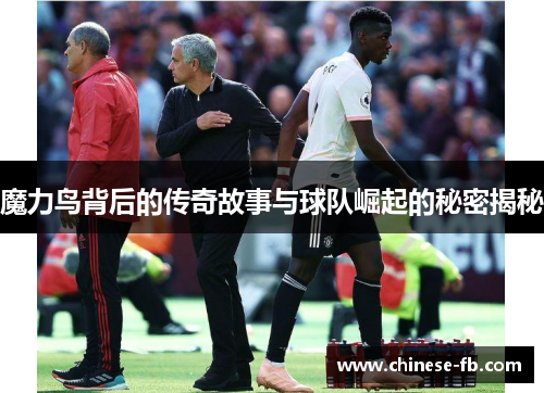 魔力鸟背后的传奇故事与球队崛起的秘密揭秘 魔力鸟背后的传奇故事与球队崛起的秘密揭秘