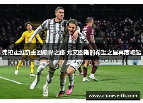 弗拉霍维奇重回巅峰之路 尤文图斯的希望之星再度崛起 弗拉霍维奇重回巅峰之路 尤文图斯的希望之星再度崛起