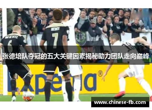 张德培队夺冠的五大关键因素揭秘助力团队走向巅峰 张德培队夺冠的五大关键因素揭秘助力团队走向巅峰