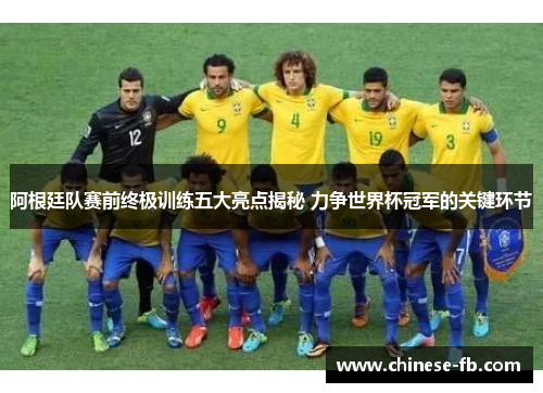 阿根廷队赛前终极训练五大亮点揭秘 力争世界杯冠军的关键环节